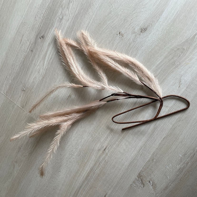 Pampas görünümlü dal - Görsel 3