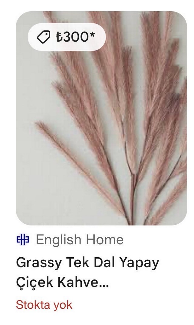 Pampas görünümlü dal - Görsel 5