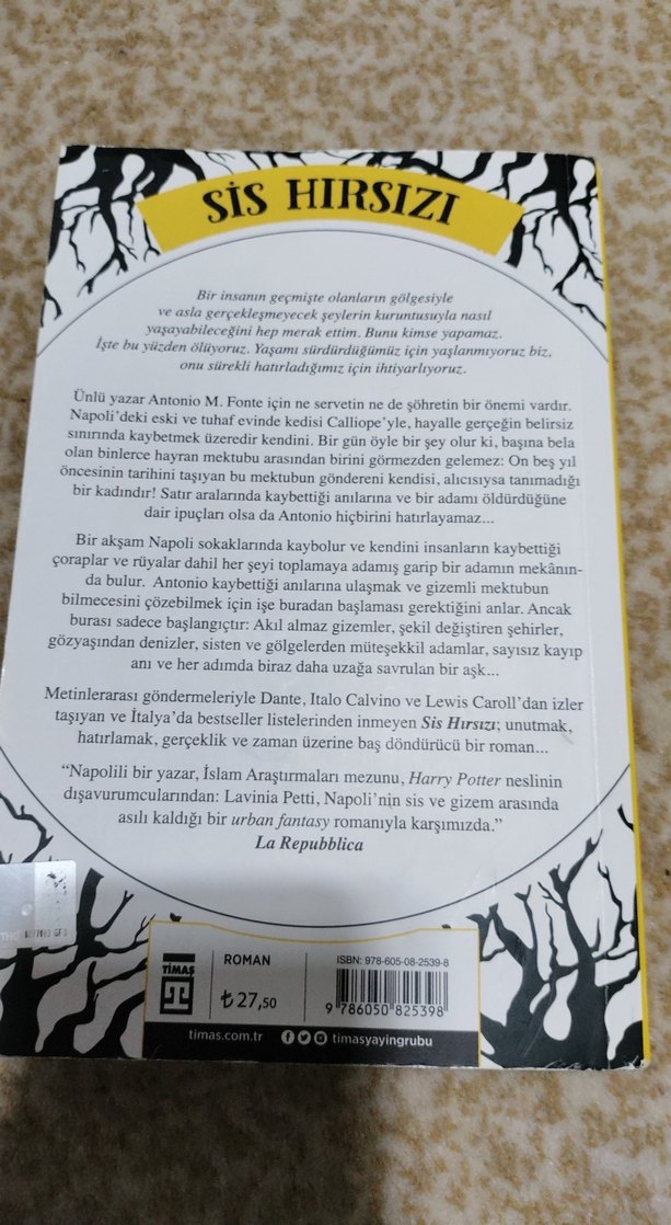 Sis Hırsızı - Lavinia Petti - Görsel 2