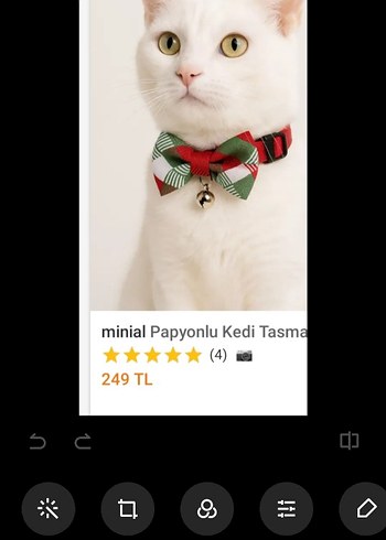 Ayarlanabilir Papyon Kedi Boyun Tasması - Görsel 2