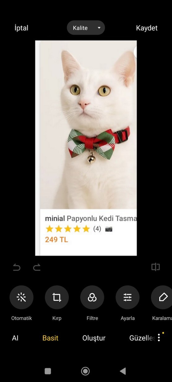 Ayarlanabilir Papyon Kedi Boyun Tasması - Görsel 2