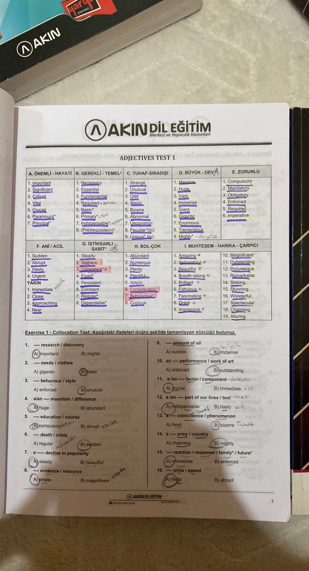 Akın Dil The Exclusive & Reading Words Soru Bankası Seti - Görsel 3