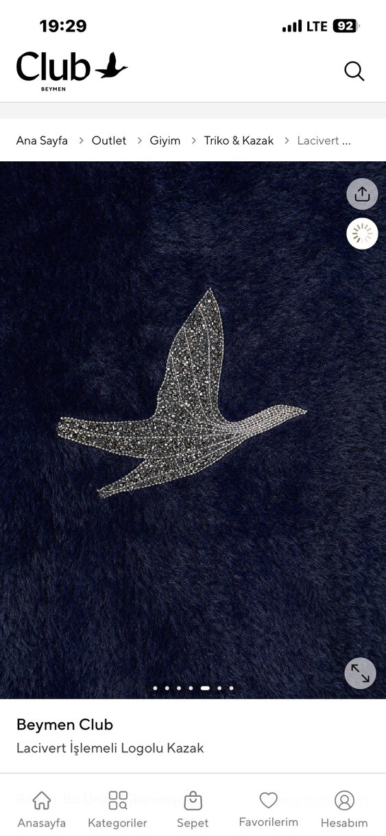 Nakışlı, Peluş Kumaşlı Kadın Kazak - Görsel 3