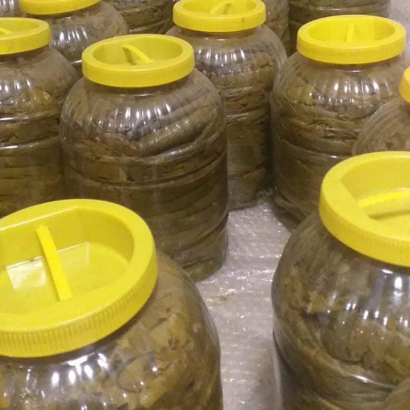 Tokat Asma Yaprağı Salamura 5 kg - Görsel 3