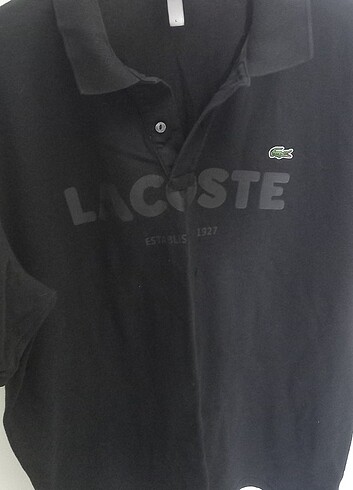 Lacoste tişört 