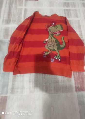 Kırmızı Baskılı Erkek Çocuk Sweatshirt