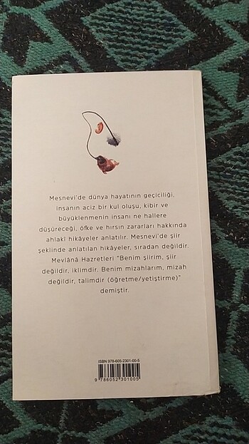  Mesnevi'den hikâyeler 