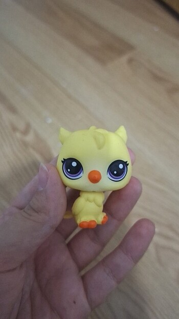  Lps orijinal özel seri miniş