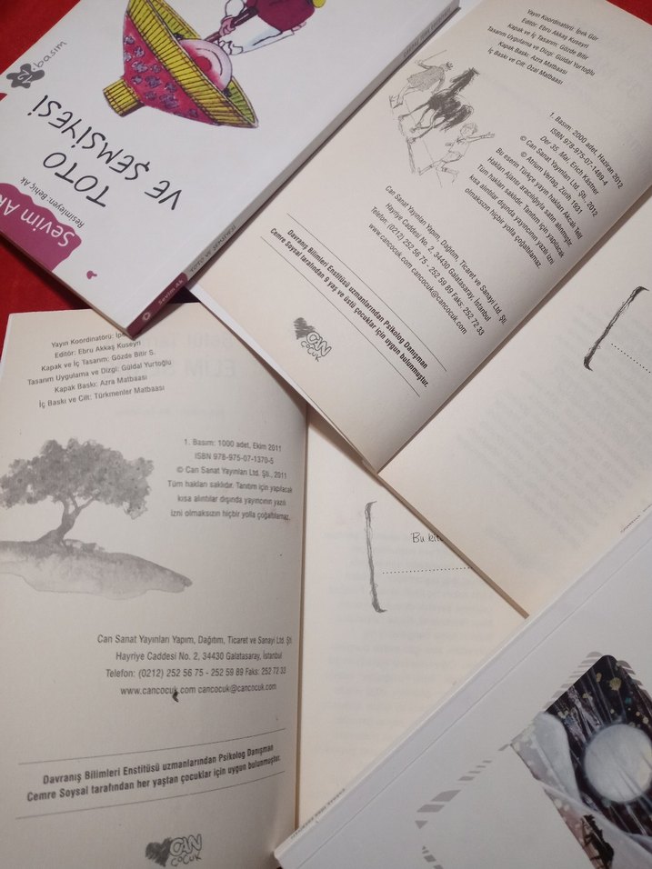 Can Çocuk Yayınları 4'lü Kitap seri - Görsel 3