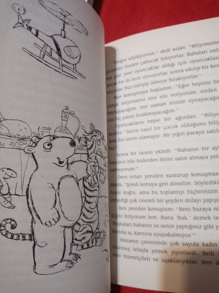 Çocuk Kitapları Seti - 4 Kitap - Görsel 5