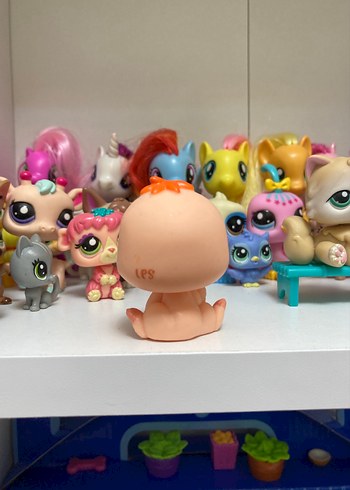 Tembel Hayvan Miniş - Görsel 2