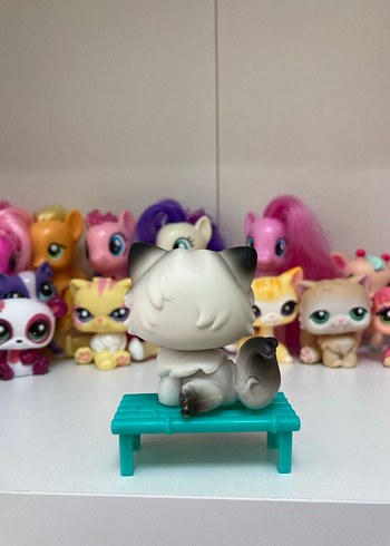 Lps persian miniş - Görsel 2