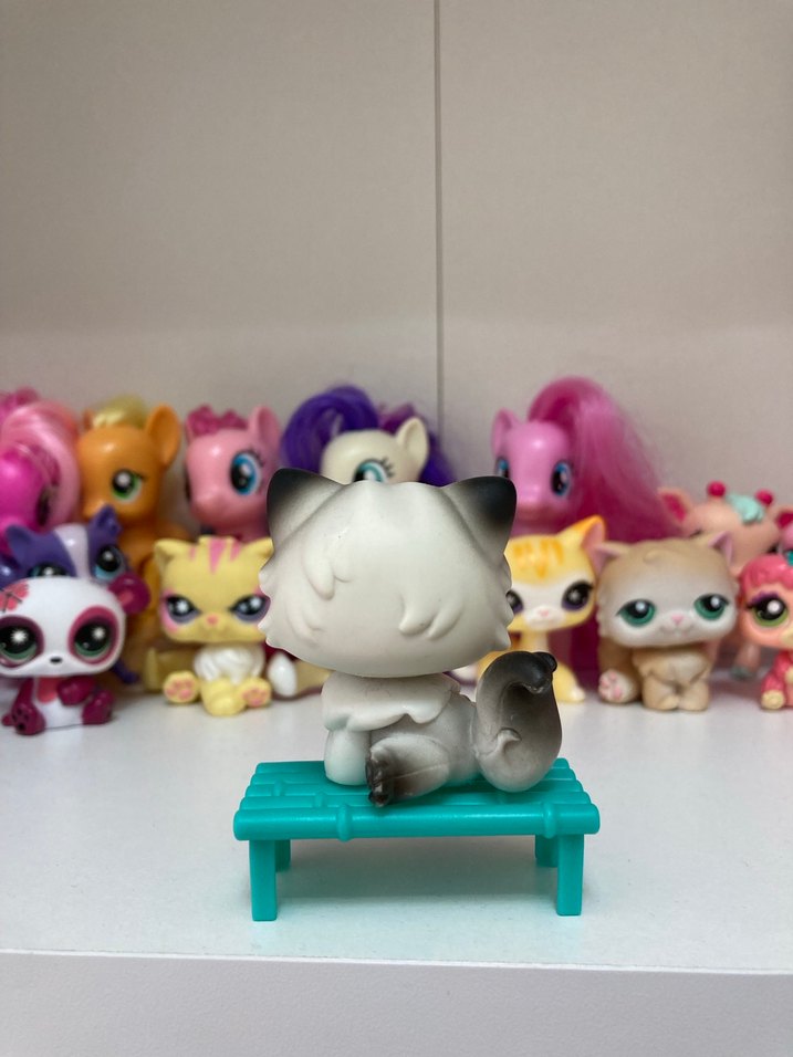 Lps persian miniş - Görsel 2