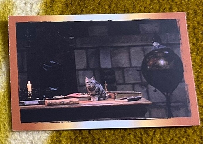  Beden Harry Potter çıkartma albümü