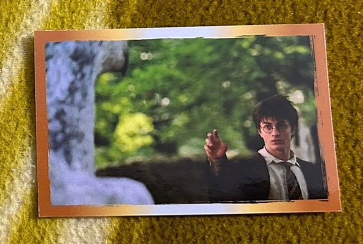  Beden Renk Harry Potter çıkartma albümü