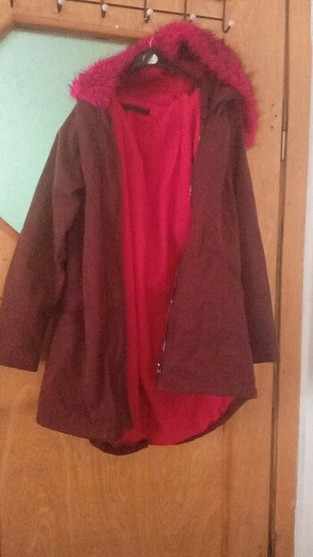 Fuşya renkli tüyleri var - Görsel 3