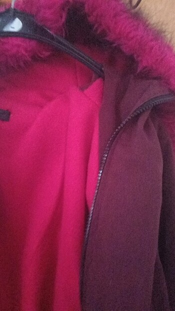 Fuşya renkli tüyleri var - Görsel 4