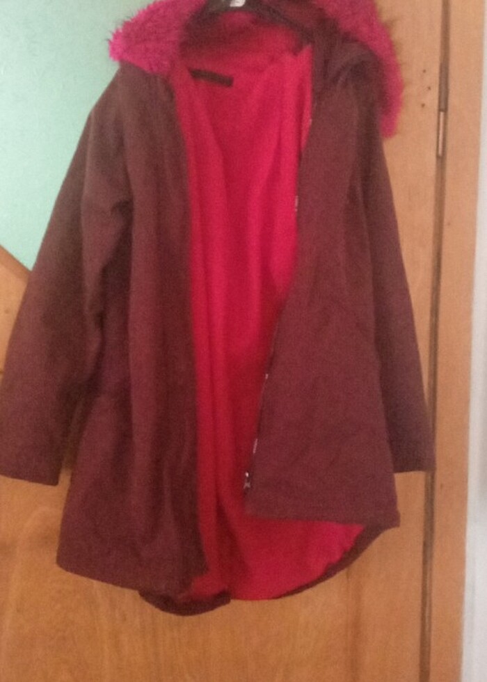 Fuşya renkli tüyleri var - Görsel 3