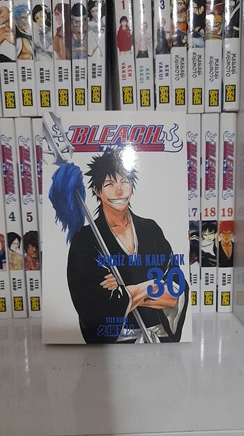 Bleach 8-30
