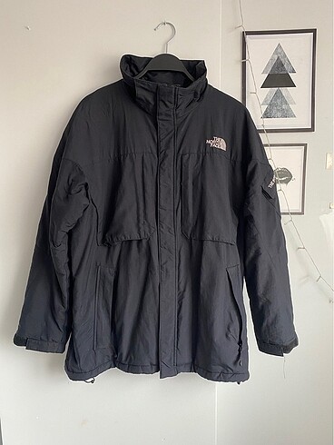 North Face The North Face Erkek Mont