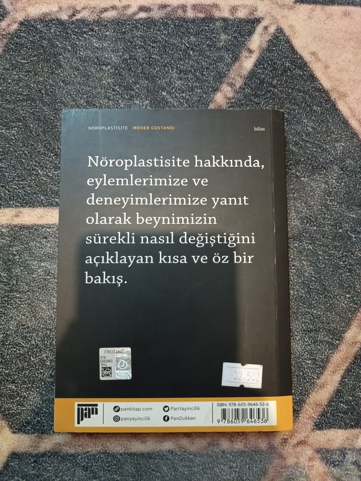 Nöroplastisite - Moheb Costandi - Görsel 2