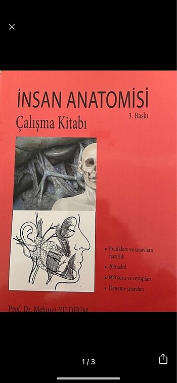 Anatomi çalışma kitabı