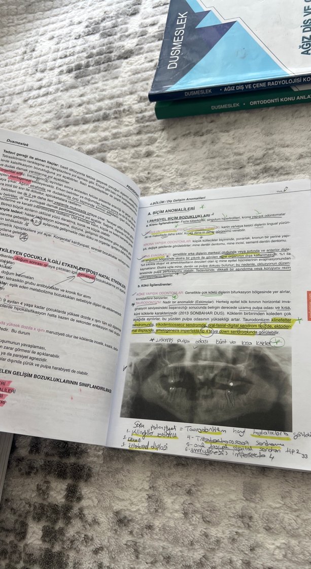 Dus doldurulmuş pedodonti ortodonti radyoloji - Görsel 4