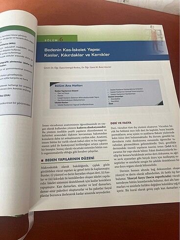 Diş hekimliği için anatominin temelleri - Görsel 4