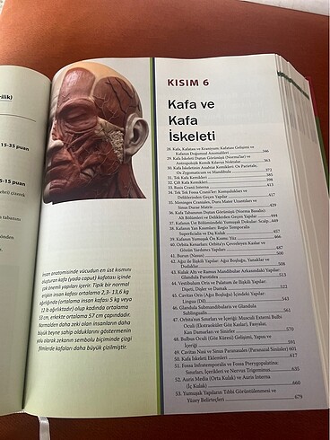 Diş hekimliği için anatominin temelleri - Görsel 6
