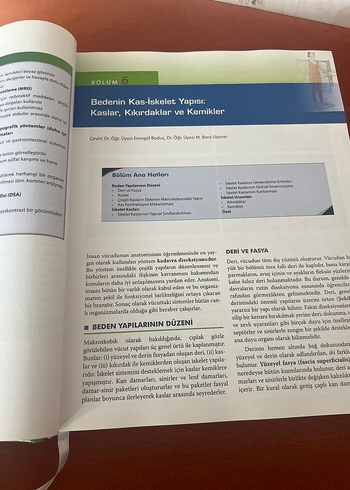 Diş hekimliği için anatominin temelleri - Görsel 4