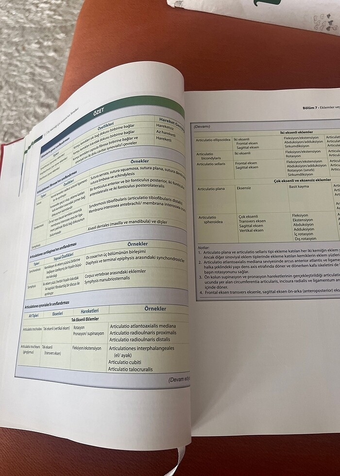 Diş hekimliği için anatominin temelleri - Görsel 5