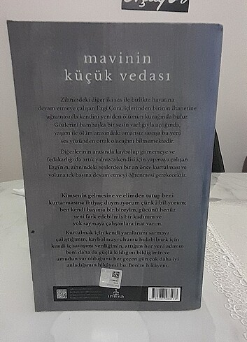  Mavinin küçük vedası 