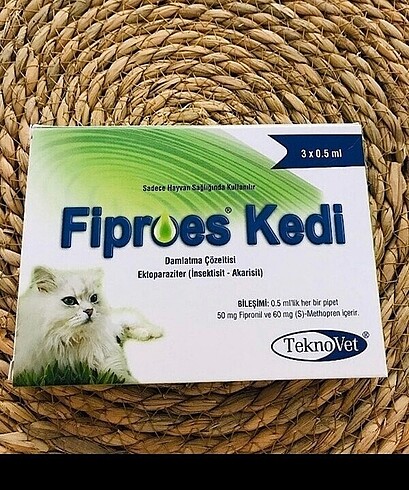 Kedi için