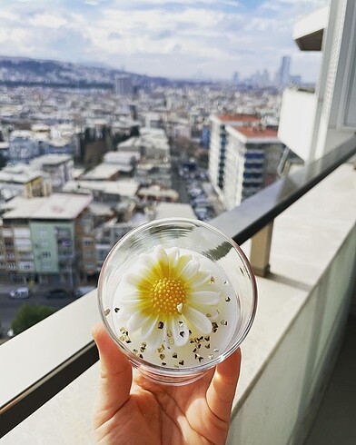  Beden Cam bardakta papatya 0 soya wax