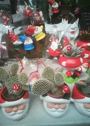 Diğer Noelbaba saksı