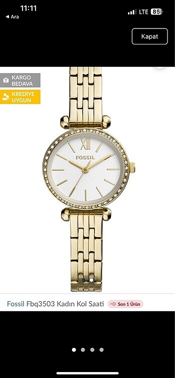 Fossil saat