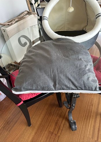 Gri Kedi Yuva ve Oyun Alanı - Görsel 3