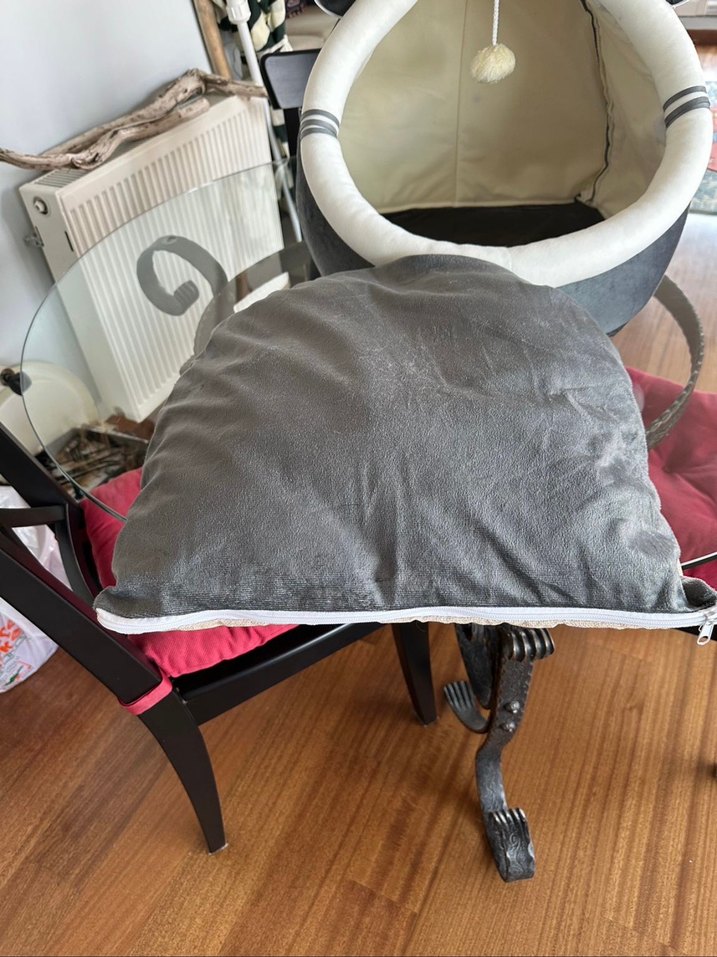 Gri Kedi Yuva ve Oyun Alanı - Görsel 3