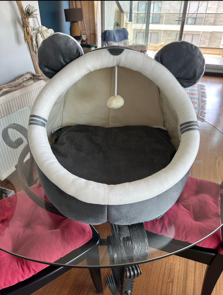 Gri Kedi Yuva ve Oyun Alanı - Görsel 2