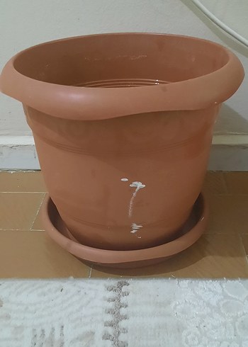 11 TANE ÇEŞİTLİ BOYLARDA SAKSILAR - Görsel 9