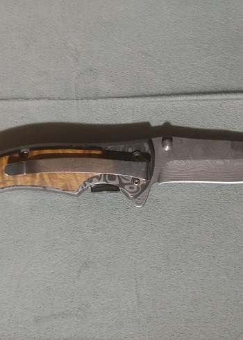 Beden Browning