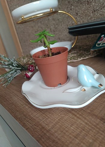 Vintage beyaz tabak ve pastel mavi kuş figürü - Görsel 3