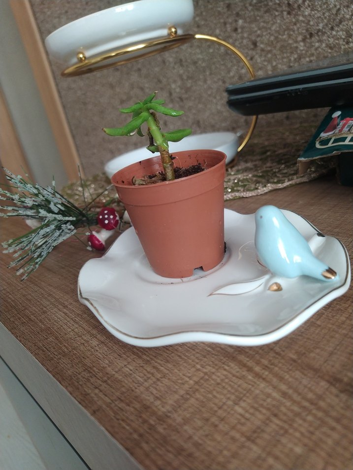 Vintage beyaz tabak ve pastel mavi kuş figürü - Görsel 3