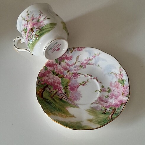 Beden Royal Albert Blossom kahve fincan