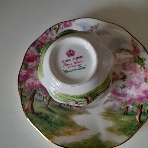 Beden çeşitli Renk Royal Albert Blossom kahve fincan