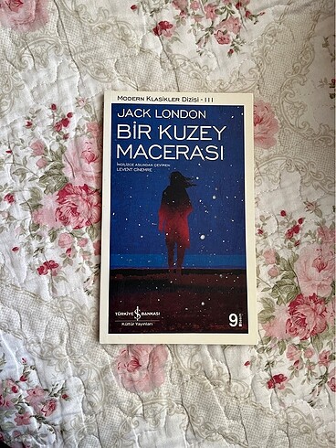 Bir Kuzey Macerası