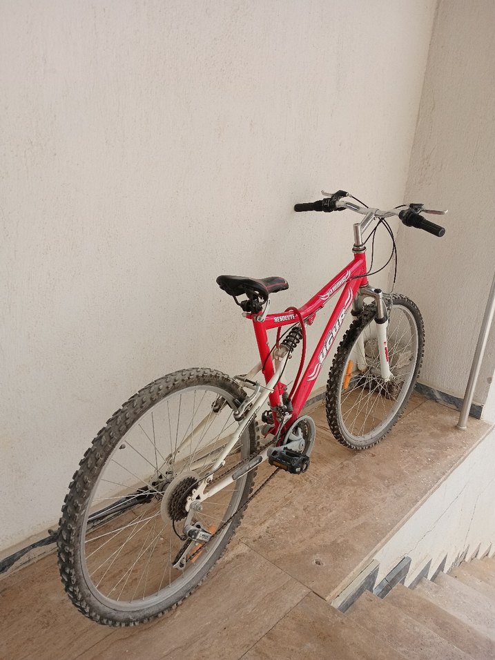 Yetişkin bisikleti uğur marka kullanılmadı sıfır - Görsel 3