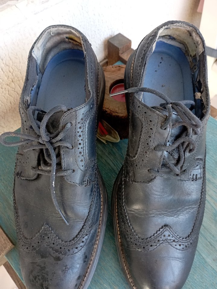 Kahverengi Bağcıklı Kadın Spor Ayakkabı 45 numara - Görsel 2