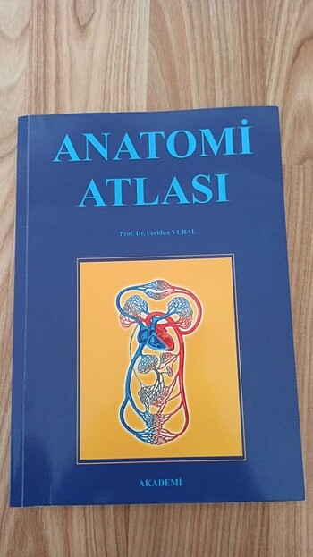 Anatomi atlası 