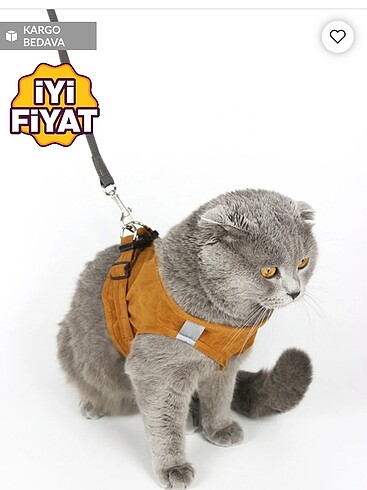  Kedi Gezdirme Tasması